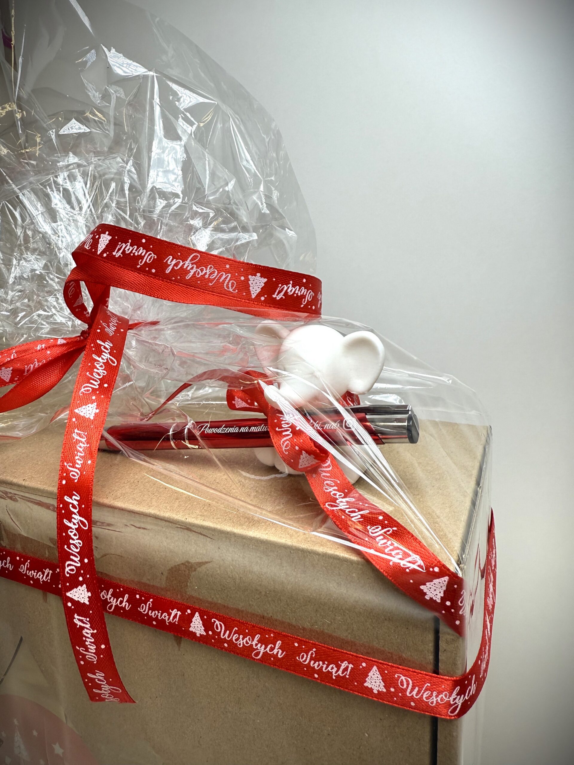 PAKIET 100 DNI DO MATURY - LIMITOWANA EDYCJA ŚWIĄTECZNA - obrazek 2