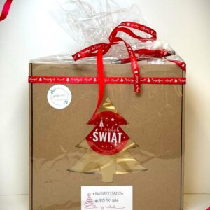 PAKIET 100 DNI DO MATURY - LIMITOWANA EDYCJA ŚWIĄTECZNA