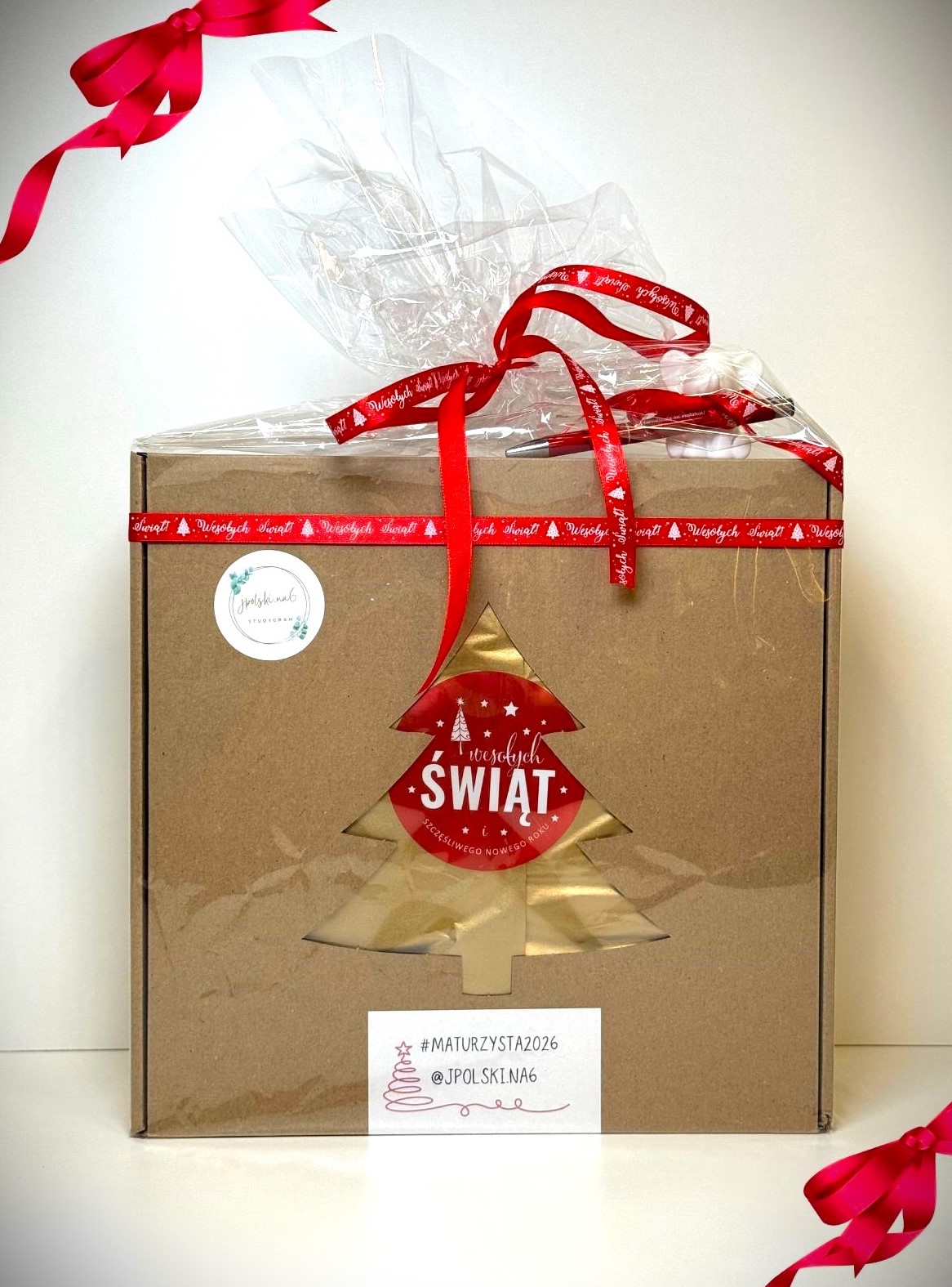 PAKIET 100 DNI DO MATURY - LIMITOWANA EDYCJA ŚWIĄTECZNA